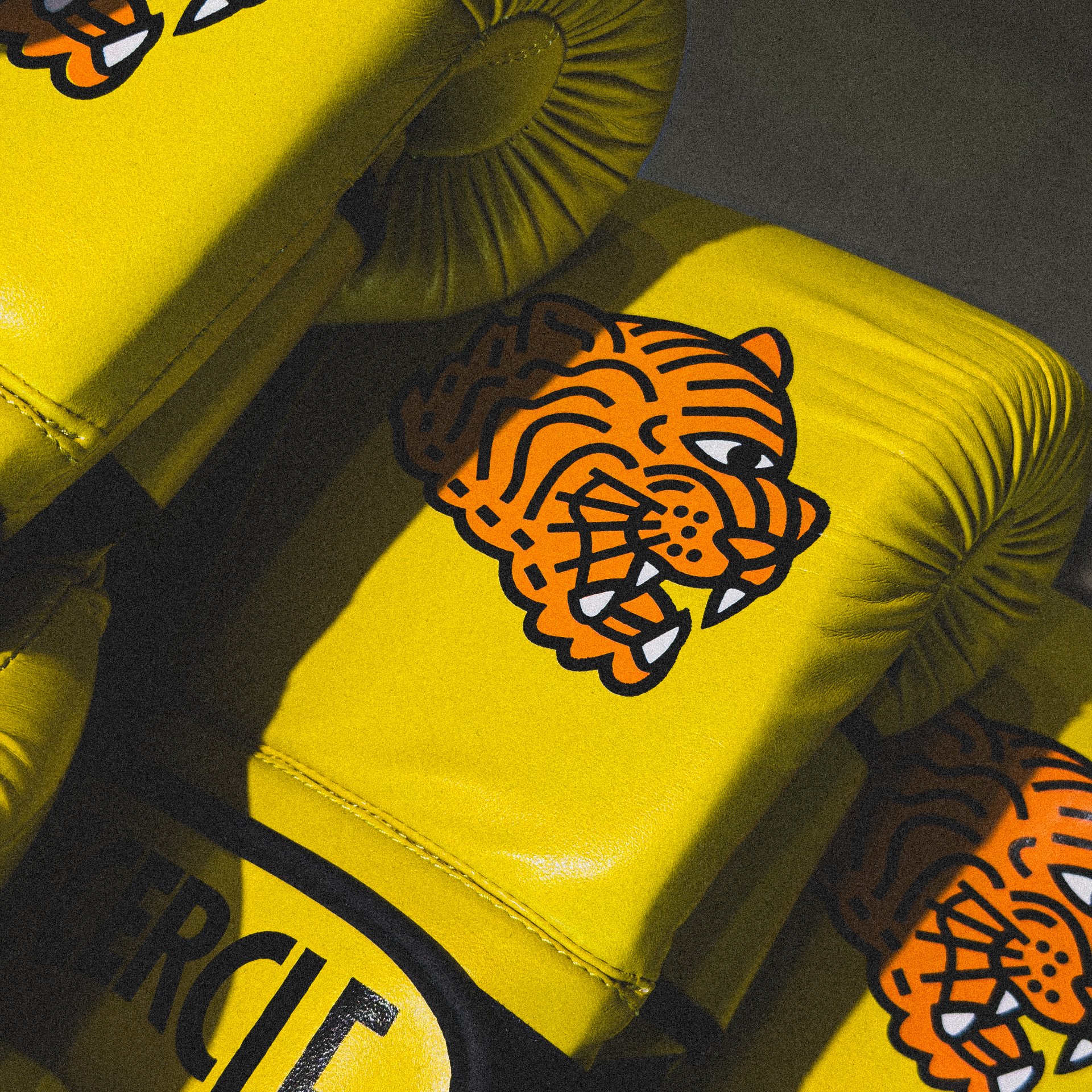 Une expérience boxe unique et premium